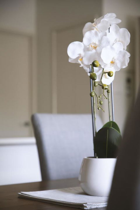 Quest Wagga Wagga - Accommodation Mooloolaba 18