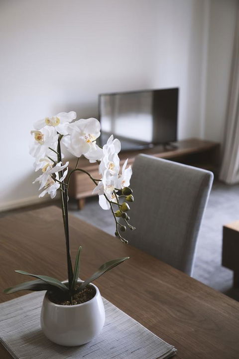 Quest Wagga Wagga - Accommodation Mooloolaba 11