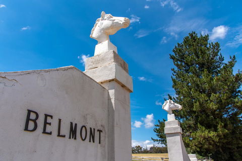 Belmont - Accommodation Mooloolaba 4