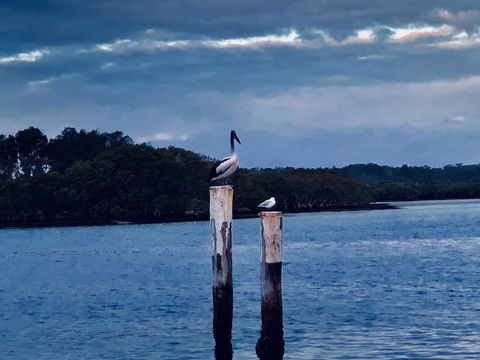 Boathouse Resort (Water Front) - Accommodation Mooloolaba 15