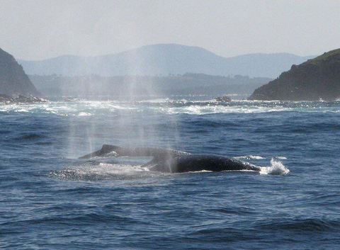 Boathouse Resort (Water Front) - Accommodation Mooloolaba 26