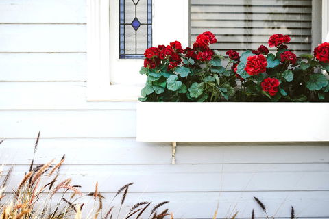 Morpeth Cottage - Accommodation Mooloolaba 41