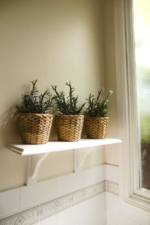 Morpeth Cottage - Accommodation Mooloolaba 31