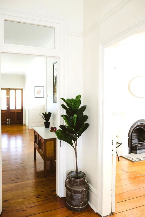 Morpeth Cottage - Accommodation Mooloolaba 3