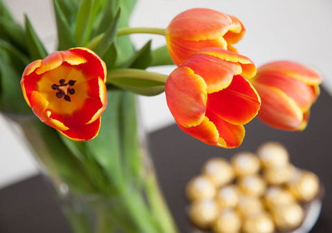 Wine Country Motor Inn - Accommodation Mooloolaba 10