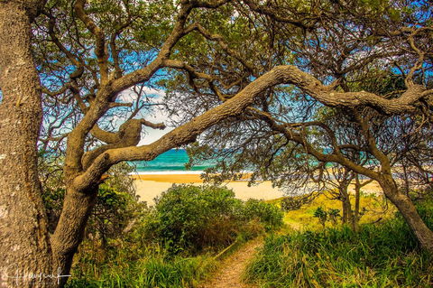 Valla's Beach House - Accommodation Mooloolaba 2