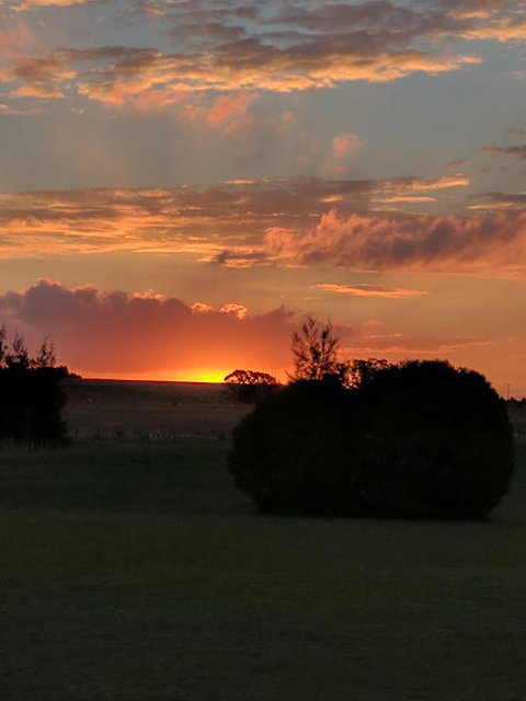 Madigan Wine Country Cottages - Accommodation Mooloolaba 13