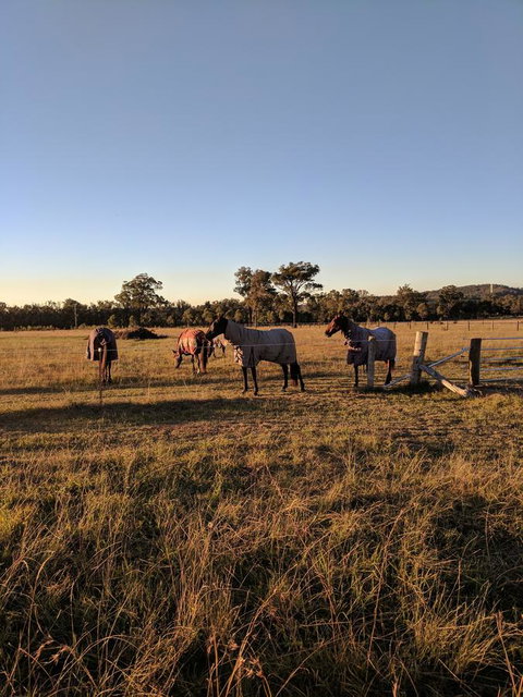 Madigan Wine Country Cottages - Accommodation Mooloolaba 8