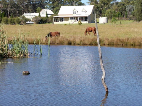 Madigan Wine Country Cottages - Accommodation Mooloolaba 2