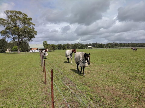 Madigan Wine Country Cottages - Accommodation Mooloolaba 9