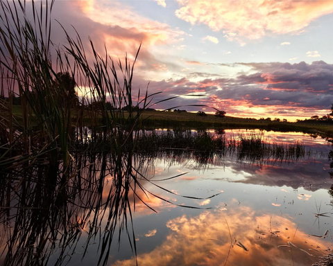 Madigan Wine Country Cottages - Accommodation Mooloolaba 16