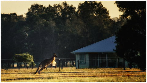 Madigan Wine Country Cottages - Accommodation Mooloolaba 5