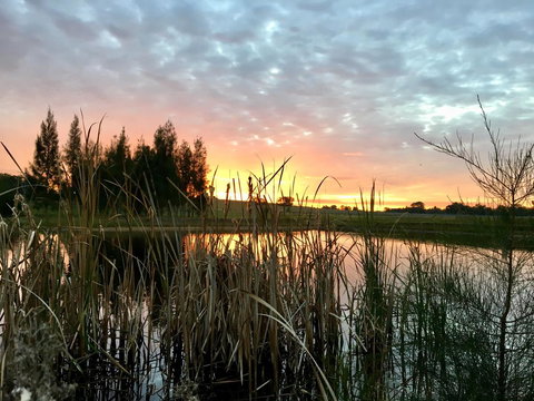 Madigan Wine Country Cottages - Accommodation Mooloolaba 14