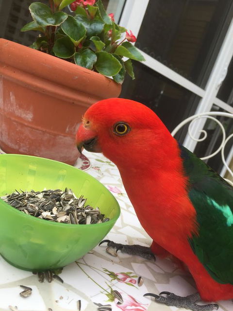 Bundanoon Lodge - Accommodation Mooloolaba 5