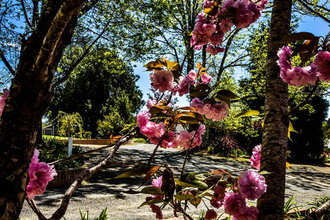 Bundanoon Lodge - Accommodation Mooloolaba 3