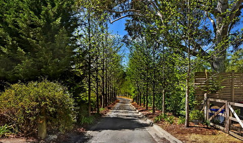 Bundanoon Lodge - Accommodation Mooloolaba 21