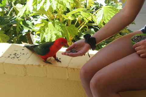 Bundanoon Lodge - Accommodation Mooloolaba 4