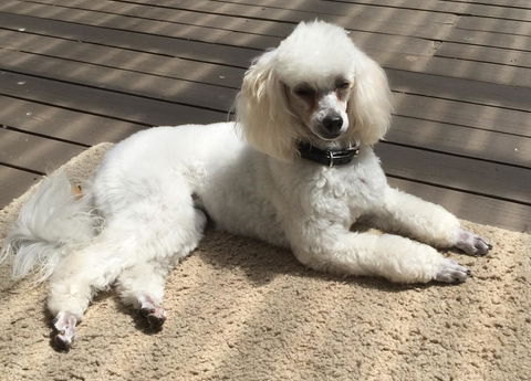 Bundanoon Lodge - Accommodation Mooloolaba 14