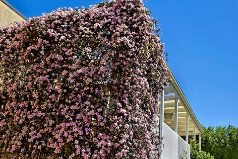 Bundanoon Lodge - Accommodation Mooloolaba 13