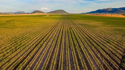 The Old Saddlery - Accommodation Mooloolaba 14