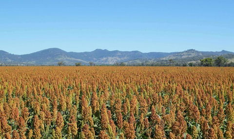 The Old Saddlery - Accommodation Mooloolaba 16