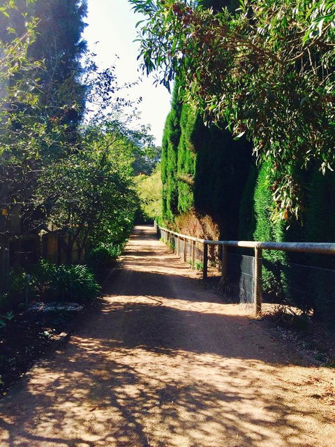 Bowral Escape - Accommodation Mooloolaba 24