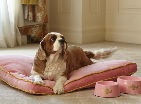 The Langham Sydney - Accommodation Mooloolaba 23