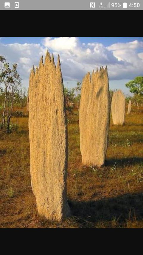 'Tropical Oasis - Darwin NT - Accommodation Mooloolaba 33