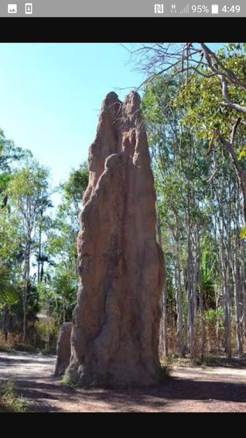 'Tropical Oasis - Darwin NT - Accommodation Mooloolaba 31