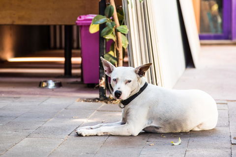 Jump Inn Alice Budget Accommodation - Accommodation Mooloolaba 43