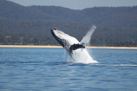 Ingenia Holidays Eden Beachfront - Accommodation Mooloolaba 36