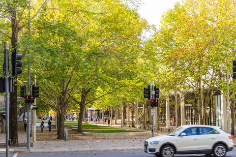 Highgate Executive Apartment City Walk Canberra - Accommodation Mooloolaba 37