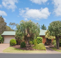 Bottlebrush - Accommodation Mooloolaba
