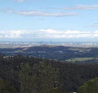 Bottletree Gardens - Mini Manson Blue - Accommodation Mooloolaba