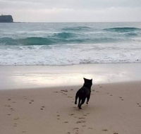 Breakers at Mudjimba Beach - Accommodation Mooloolaba