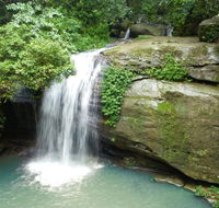 Buderim Forest Hideaway - Accommodation Mooloolaba