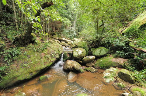 Cabbage Tree Farm - Seclusion And Tranquillity! - Accommodation Mooloolaba 1
