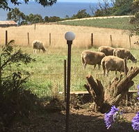 Cape View B and B - Accommodation Mooloolaba