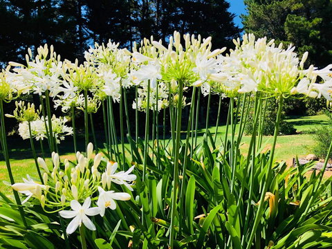 Carawah Ridge - Accommodation Mooloolaba 1