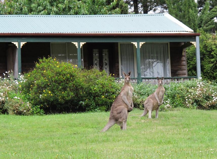 Mount Victoria NSW Accommodation Mooloolaba