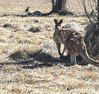 Clansman Motel - Accommodation Mooloolaba