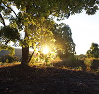 Clarendon Forest Retreat - Accommodation Mooloolaba