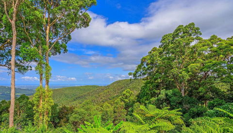 CLOUD 9 - Cliff Top Eagle Heights - Accommodation Mooloolaba 3