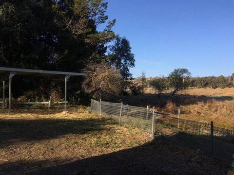 Cockatoo Corner - Armidale - Accommodation Mooloolaba 1