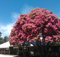 Crossways Country Inn - Accommodation Mooloolaba