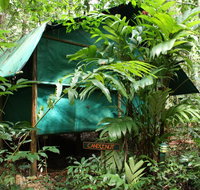 Daintree Crocodylus - Accommodation Mooloolaba