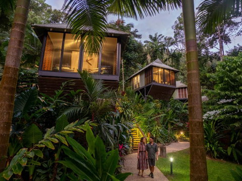 Daintree Ecolodge - Accommodation Mooloolaba 0