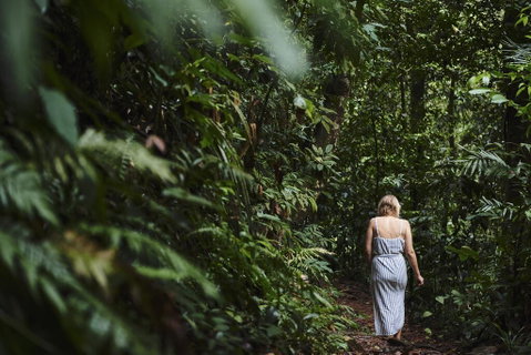 Daintree Ecolodge - Accommodation Mooloolaba 2