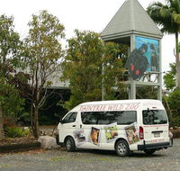 Daintree Wild Bed  Breakfast - Accommodation Mooloolaba