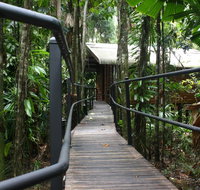 Daintree Wilderness Lodge - Accommodation Mooloolaba